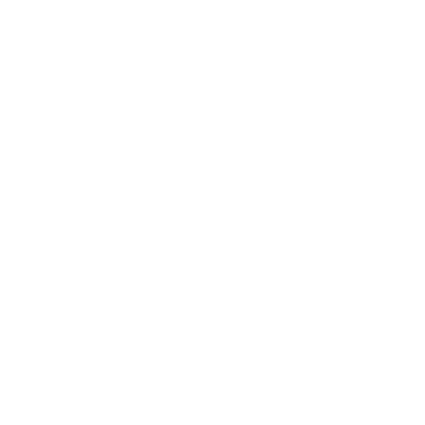 t12