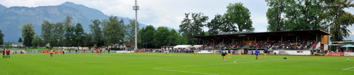 birkenwiese