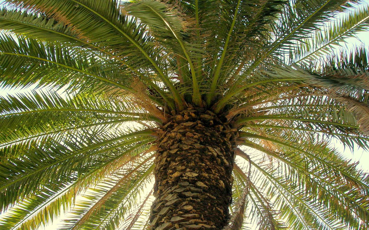 Trainingslager – Tag 2